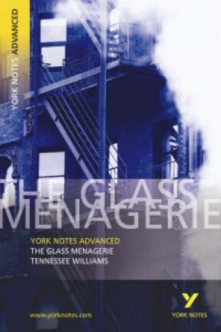 Kniha Glass Menagerie: York Notes Advanced Rebecca Warren