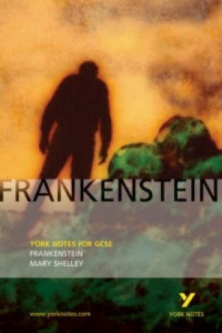 Kniha Frankenstein: York Notes for GCSE Alex Fairburn