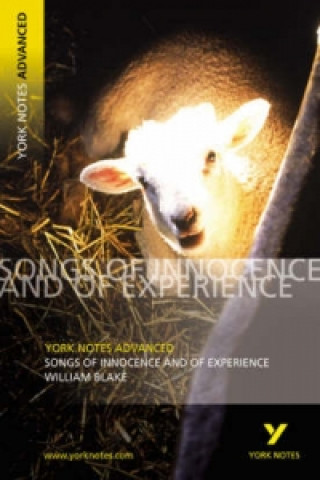 Könyv Songs of Innocence and Experience: York Notes Advanced David Punter