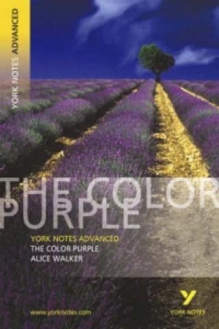 Książka Color Purple: York Notes Advanced Neil McEwan