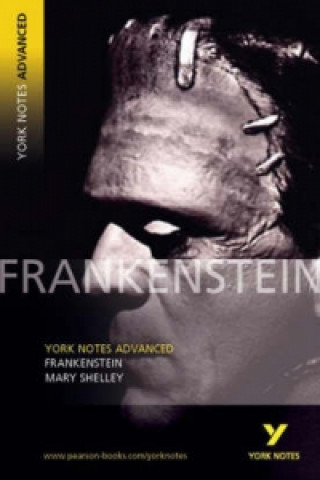 Könyv YNA2 Frankenstein Mary Shelley