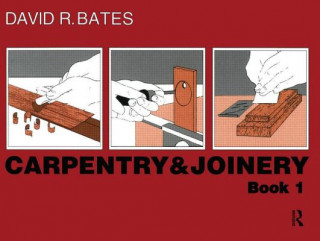 Knjiga Carpentry and Joinery Book 1 D R Bates