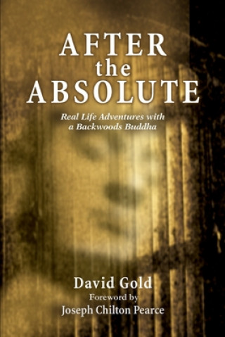 Книга After the Absolute David Gold