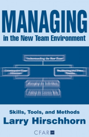 Livre Managing in the New Team Environment Larry Hirschhorn