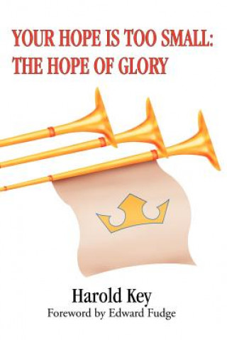 Buch Your Hope Is Too Small Harold Key