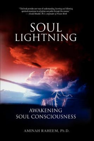 Kniha Soul Lightning Aminah Raheem