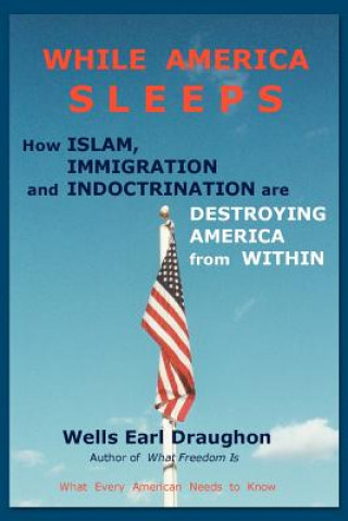 Buch While America Sleeps Wells Earl Draughon