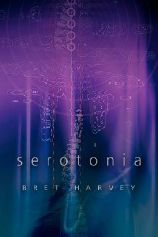 Kniha Serotonia Bret Harvey