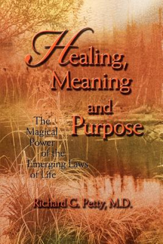 Książka Healing, Meaning and Purpose Richard G Petty