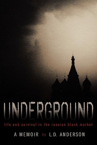 Kniha Underground L. D. Anderson