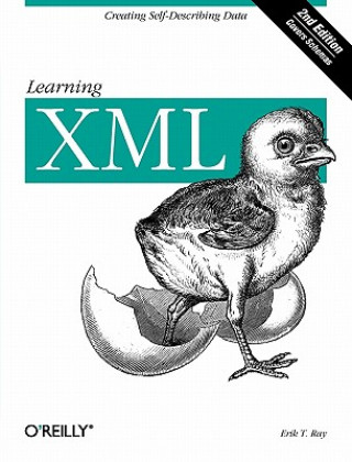 Knjiga Learning XML 2e Erik Ray