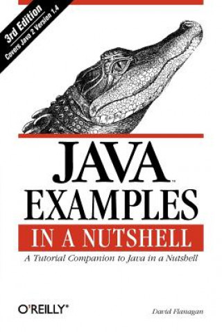 Kniha Java Examples in a Nutshell 3e David Flanagan
