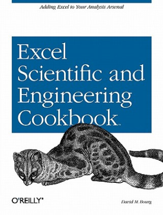 Livre Excel Scientific and Engineering Cookbook David Bourg