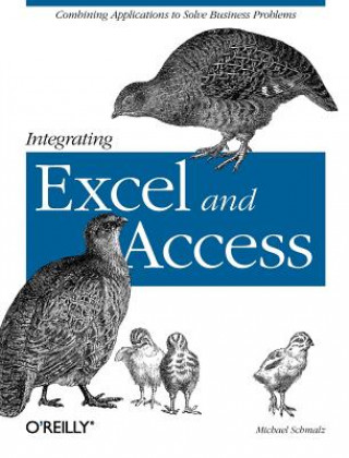 Kniha Integrating Excel and Access Michael Schmalz