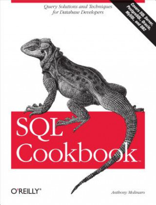 Könyv SQL Cookbook Anthony Molinaro