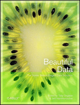 Kniha Beautiful Data Toby Segaran
