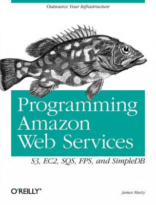 Könyv Programming Amazon Web Services James Murty