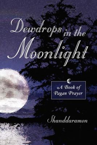 Kniha Dewdrops In The Moonlight Shanddaramon