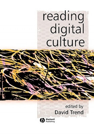 Book Reading Digital Culture David Trend