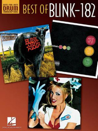 Könyv Best of Blink-182 Scott Schroedl