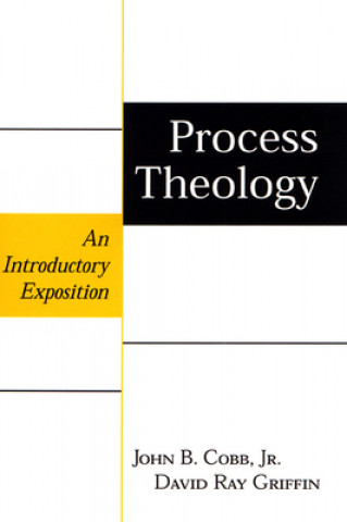 Kniha Process Theology John Cobb