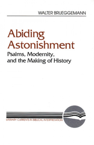 Kniha Abiding Astonishment Walter Brueggemann