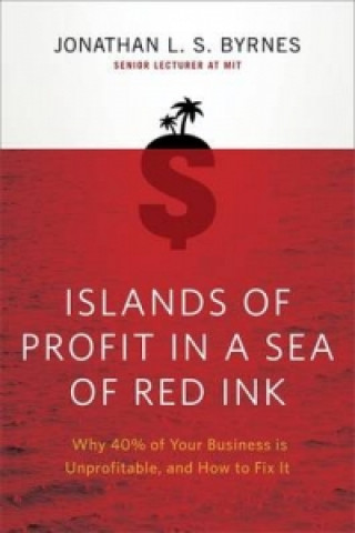 Könyv Islands of Profit in a Sea of Red Ink Jonathan L S Byrnes