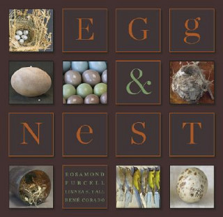 Carte Egg & Nest Rosamond Purcell