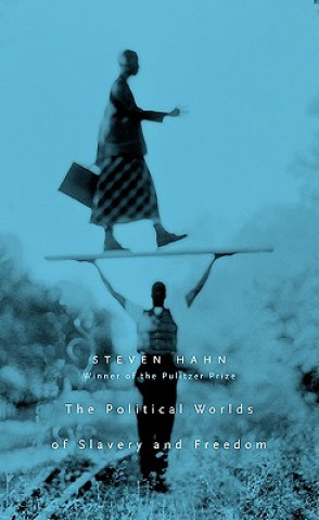 Kniha Political Worlds of Slavery and Freedom Steven Hahn