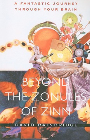 Kniha Beyond the Zonules of Zinn David Bainbridge