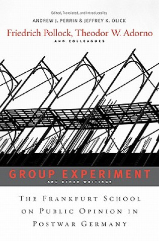 Kniha Group Experiment and Other Writings Friedrich Pollock