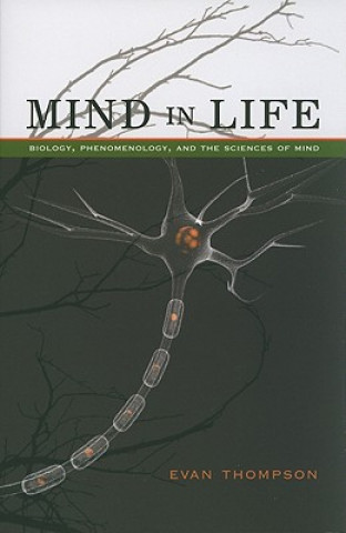 Kniha Mind in Life Evan Thompson