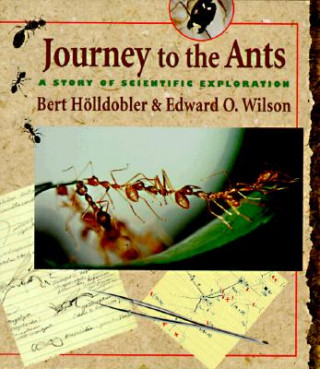 Kniha Journey to the Ants Bert Wilson Hoelldobler