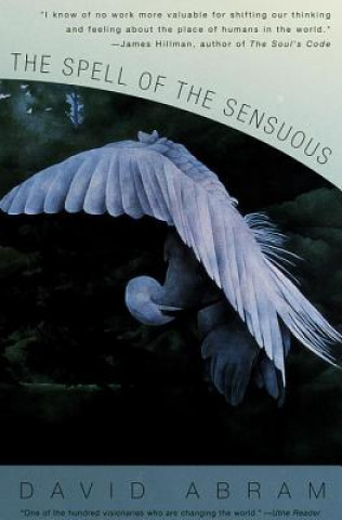 Kniha Spell of the Sensuous David Abram