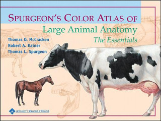 Kniha Spurgeon's Color Atlas of Large Animal Anatomy: The Essentials Gregory Brooks