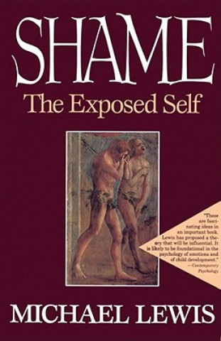 Książka Shame Michael Lewis