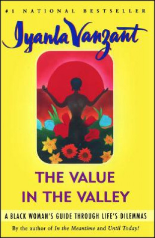 Könyv Value in the Valley Iyanla Vanzant