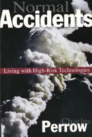 Buch Normal Accidents Charles Perrow