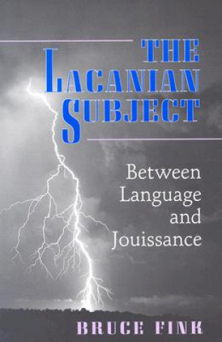 Kniha Lacanian Subject Fink
