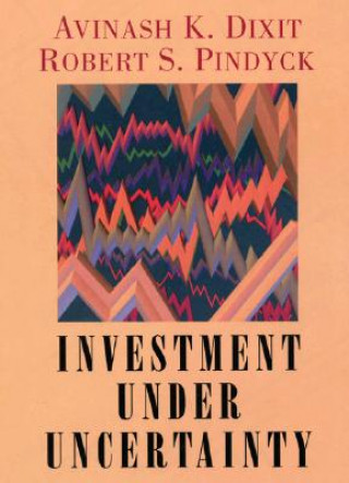 Kniha Investment under Uncertainty Avinash K Dixit