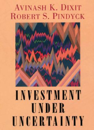 Knjiga Investment under Uncertainty Avinash K Dixit