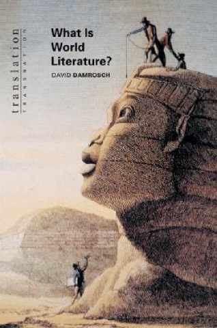 Knjiga What Is World Literature? Damrosch