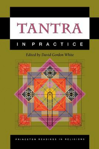 Kniha Tantra in Practice David Gordon White