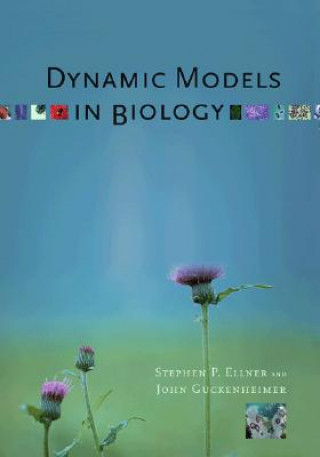 Kniha Dynamic Models in Biology Stephen Ellner