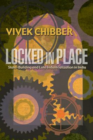 Kniha Locked in Place Vivek Chibber