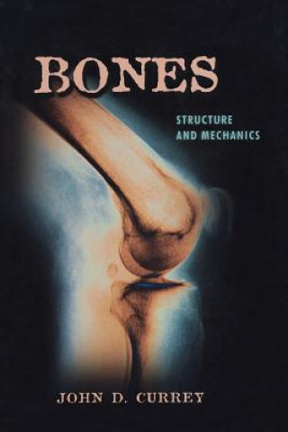 Carte Bones John D Currey