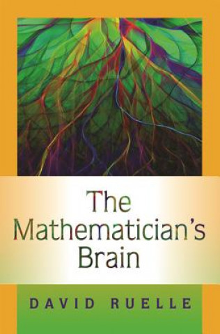 Książka Mathematician's Brain David Ruelle
