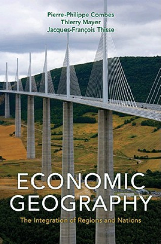 Kniha Economic Geography Combes