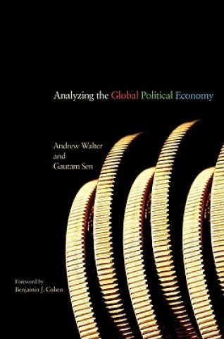 Könyv Analyzing the Global Political Economy Walter