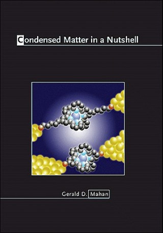 Kniha Condensed Matter in a Nutshell Gerald Mahan